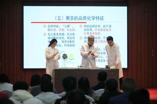 非遺活態(tài)傳承新篇章 黔北黃茶技藝選定黔東南代言人，推動茶文化深度交流